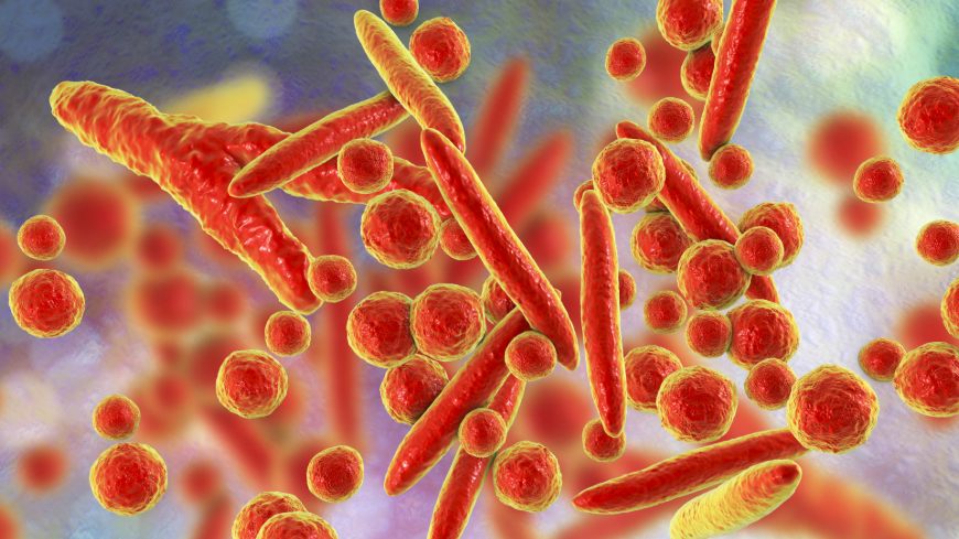 EPC adopts mycoplasmas general chapter and monographs, updated to incorporate latest analytical developments