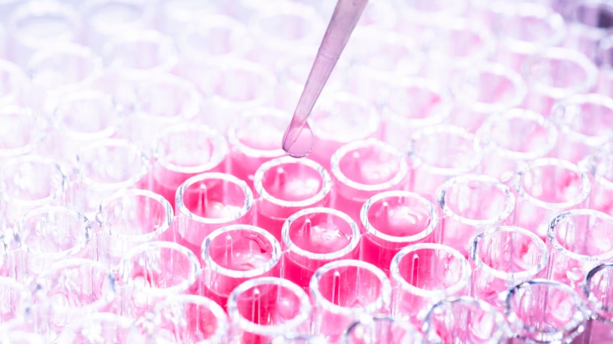 Public consultation on a new general chapter 2.6.42. Test for procoagulant activity in immunoglobulin preparations in Pharmeuropa 37.3