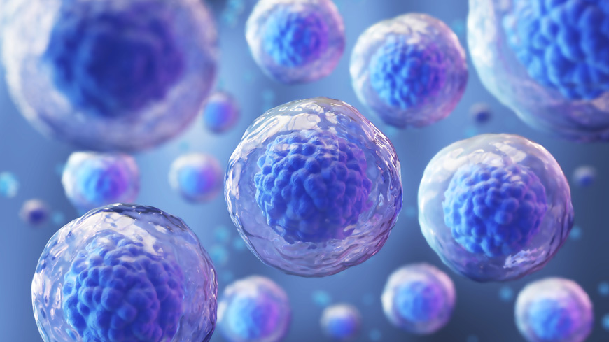 EPC adopts groundbreaking chapter on cell-based preparations for human use