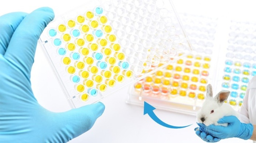 Pyrogen testing 2.0: Ethical, Evolving and Eco-friendly – Registration open